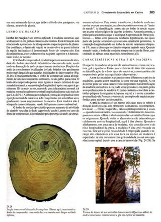 Biologia vegetal raven_5ªed