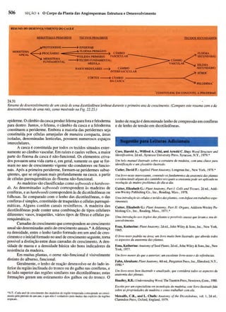 Biologia vegetal raven_5ªed