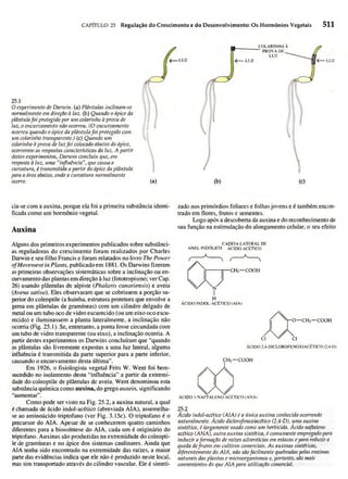 Biologia vegetal raven_5ªed