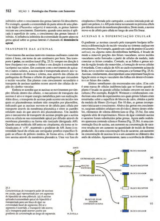 Biologia vegetal raven_5ªed