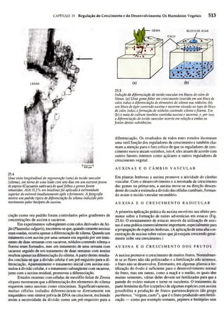 Biologia vegetal raven_5ªed