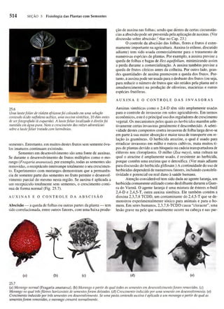 Biologia vegetal raven_5ªed