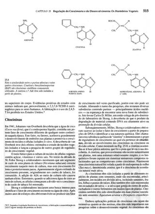 Biologia vegetal raven_5ªed