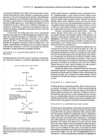 Biologia vegetal raven_5ªed