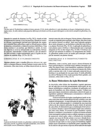 Biologia vegetal raven_5ªed