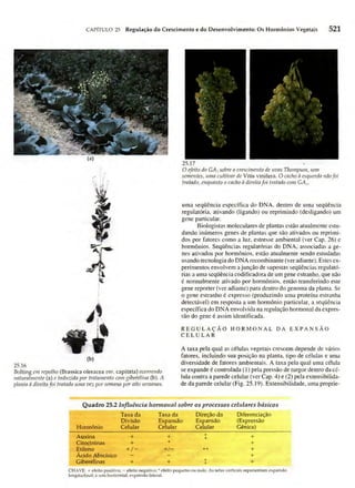 Biologia vegetal raven_5ªed