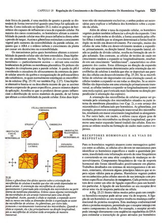 Biologia vegetal raven_5ªed