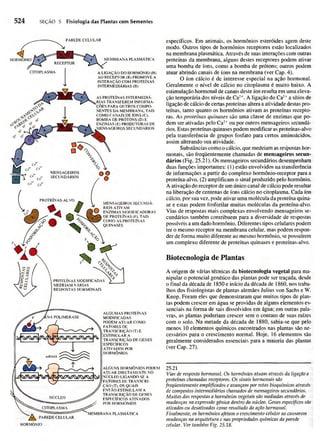 Biologia vegetal raven_5ªed
