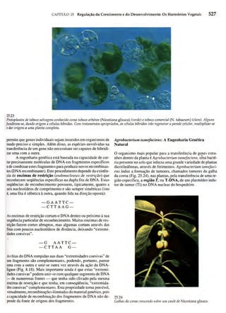 Biologia vegetal raven_5ªed