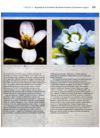 Biologia vegetal raven_5ªed