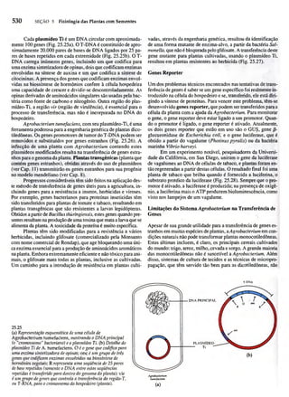 Biologia vegetal raven_5ªed