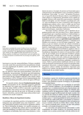 Biologia vegetal raven_5ªed