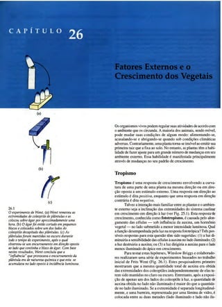 Biologia vegetal raven_5ªed