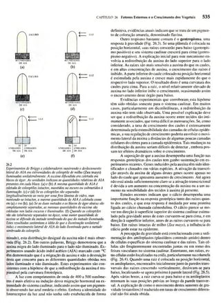 Biologia vegetal raven_5ªed