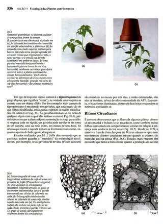 Biologia vegetal raven_5ªed