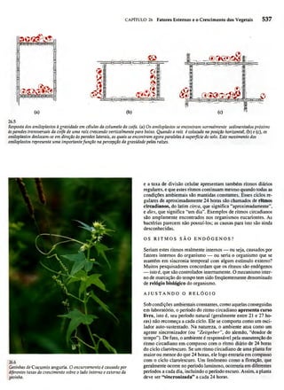 Biologia vegetal raven_5ªed
