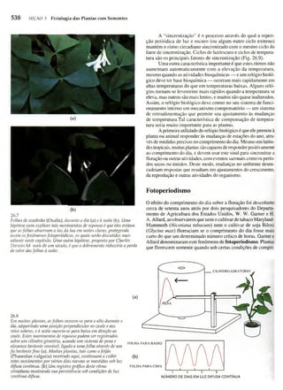 Biologia vegetal raven_5ªed