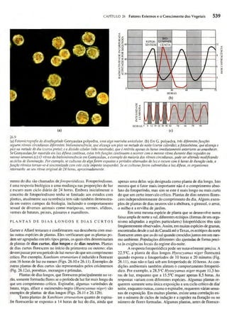 Biologia vegetal raven_5ªed