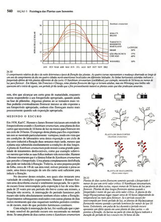 Biologia vegetal raven_5ªed