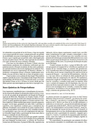 Biologia vegetal raven_5ªed