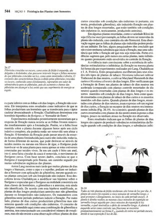 Biologia vegetal raven_5ªed