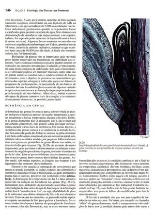 Biologia vegetal raven_5ªed