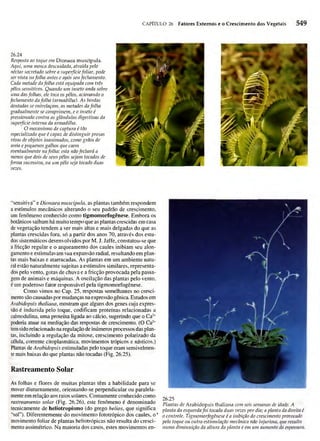 Biologia vegetal raven_5ªed