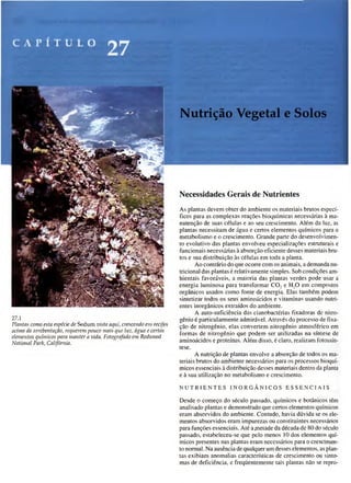 Biologia vegetal raven_5ªed