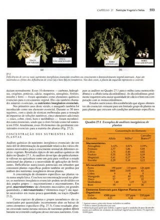 Biologia vegetal raven_5ªed