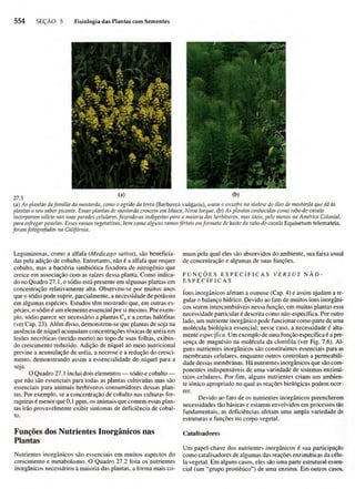 Biologia vegetal raven_5ªed