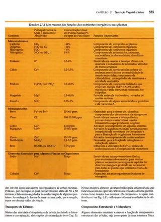 Biologia vegetal raven_5ªed