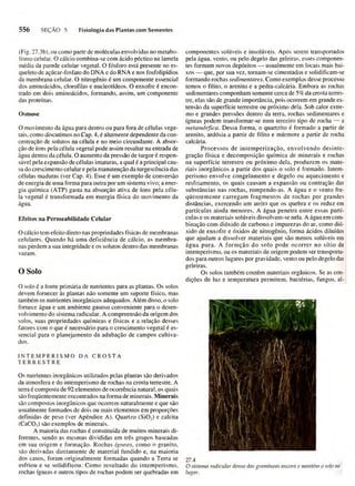 Biologia vegetal raven_5ªed