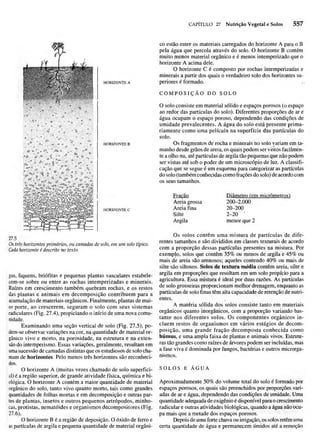 Biologia vegetal raven_5ªed