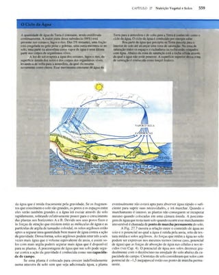 Biologia vegetal raven_5ªed