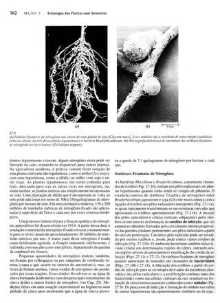 Biologia vegetal raven_5ªed