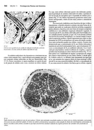 Biologia vegetal raven_5ªed