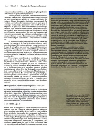 Biologia vegetal raven_5ªed