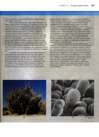 Biologia vegetal raven_5ªed