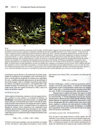 Biologia vegetal raven_5ªed