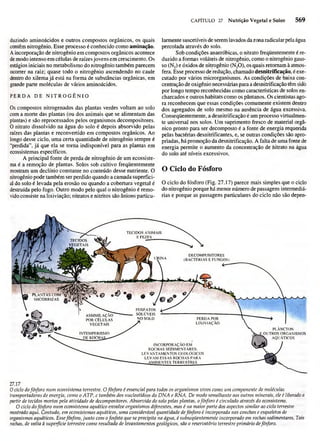 Biologia vegetal raven_5ªed
