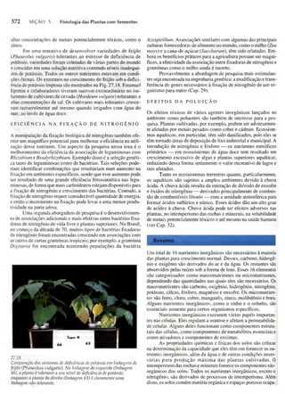 Biologia vegetal raven_5ªed