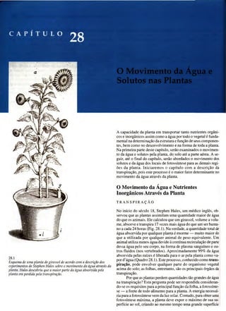 Biologia vegetal raven_5ªed