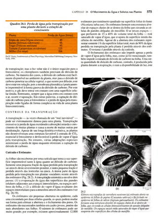 Biologia vegetal raven_5ªed
