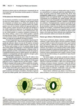 Biologia vegetal raven_5ªed