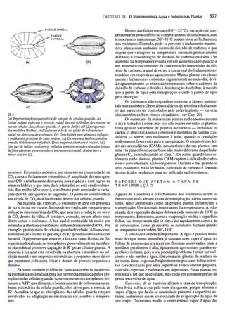 Biologia vegetal raven_5ªed