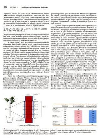 Biologia vegetal raven_5ªed