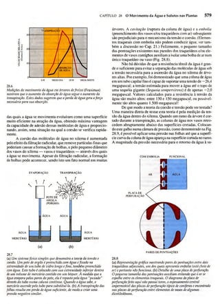 Biologia vegetal raven_5ªed