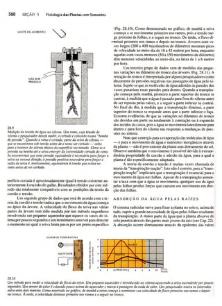Biologia vegetal raven_5ªed
