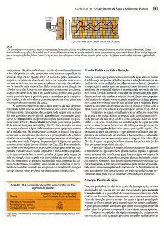 Biologia vegetal raven_5ªed