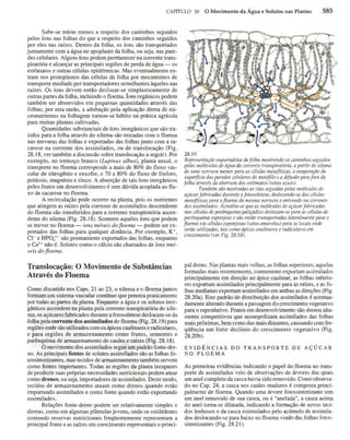 Biologia vegetal raven_5ªed